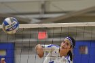 Wheaton Women's Volleyball  Wheaton Women's Volleyball vs Bridgewater State University. : Wheaton, Volleyball, BSU, Bridgewater State College